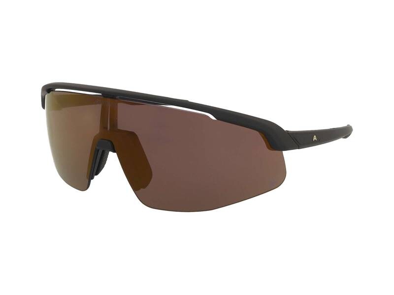 Alpina Turbo Pro Q Black Matt/Gold Mirror