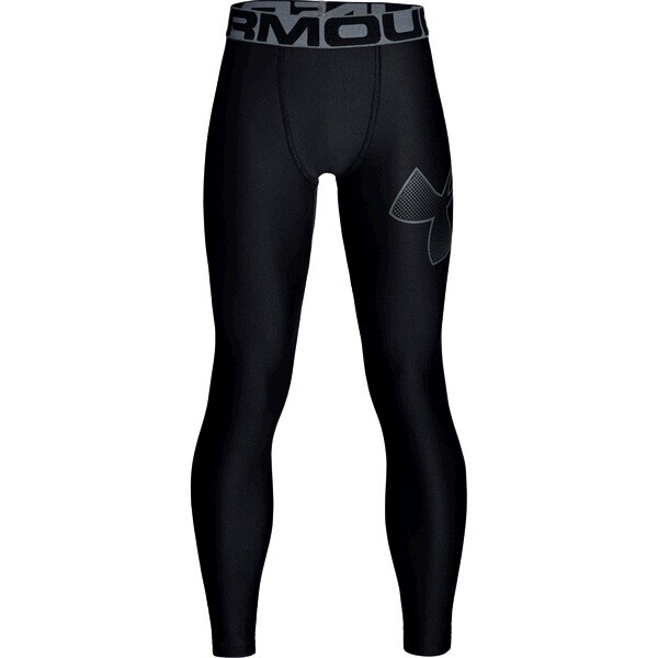 Under Armour Legíny Heatgear Legging - Kluci