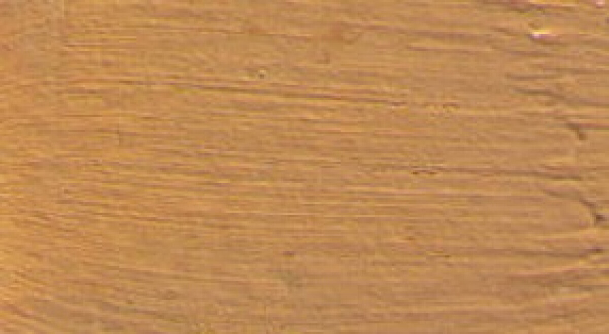 Restaurátorská barva Renesans 20ml – 07 Yellow ochre pale