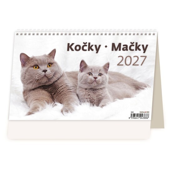Helma 365 Stolní kalendář 2027 - Kočky/Mačky - S33-27 - Helma 365 Kočky Kočky 10