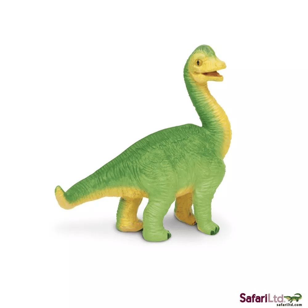 Safari Ltd. Safari Ltd. Mládě brachiosaura