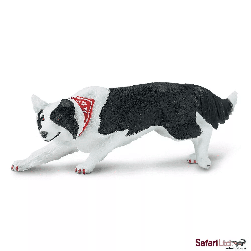 Safari Ltd. Safari Ltd. Border kolie