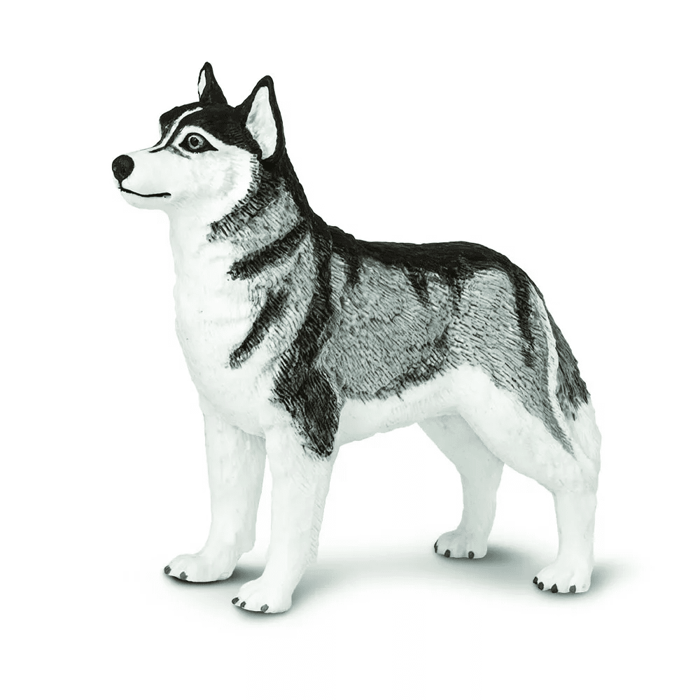 Safari Ltd. Safari Ltd. Figurka - Sibiřský husky