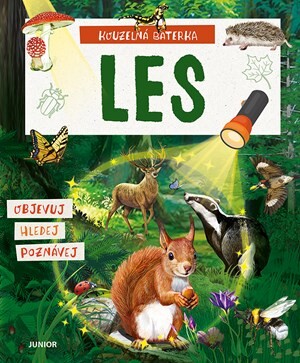 Kouzelná baterka: Les - Elina Roth