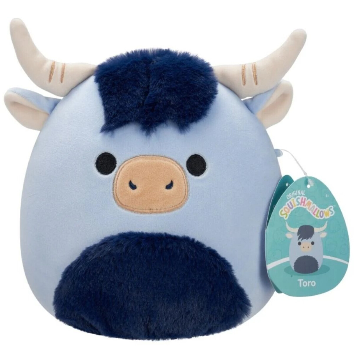 Modrý skotský náhorní skot - Toro