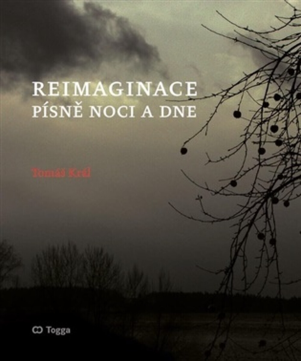 Reimaginace - Tomáš Král