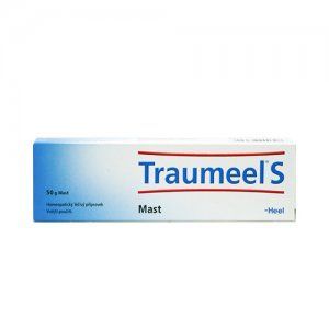 Traumeel S Heel ung.1x50g (D)