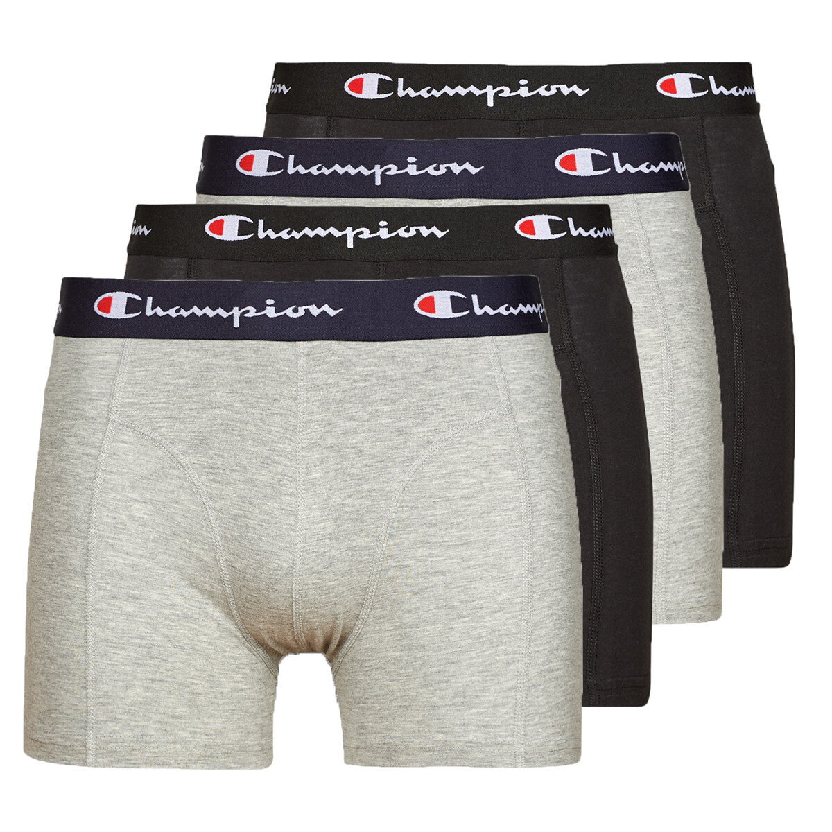 Champion  BOXER X4  ruznobarevne