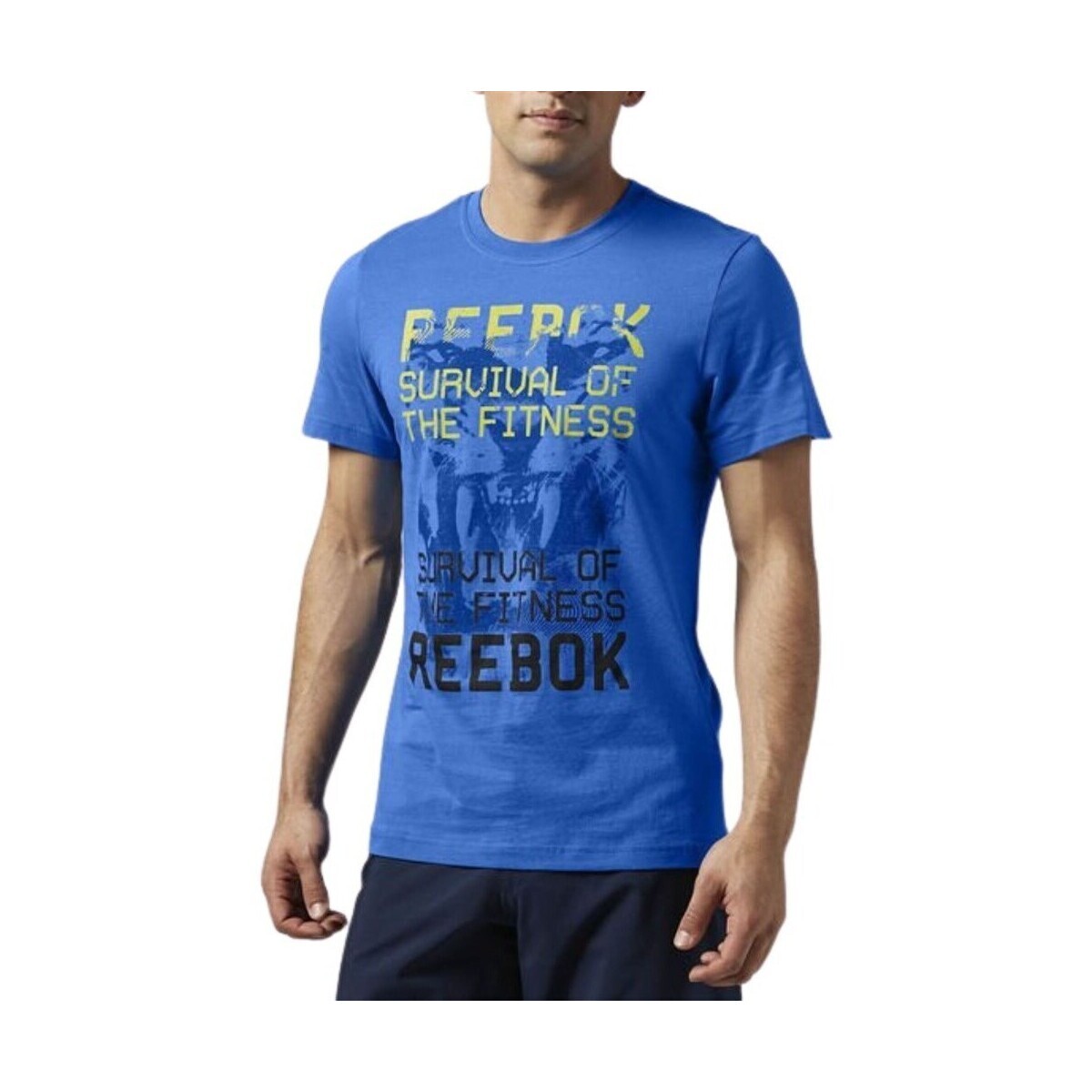 Reebok Sport  AA9310  ruznobarevne