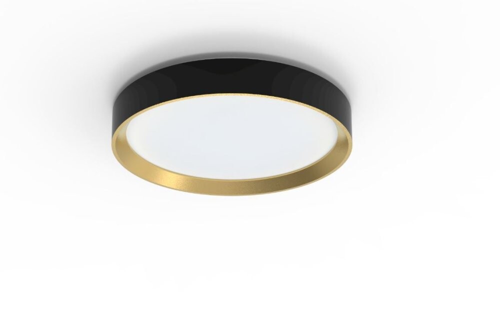 Philips Hanno stropní svítidlo LED 24W 2700K SceneSwitch CRI80 kulaté, černá/zlatá