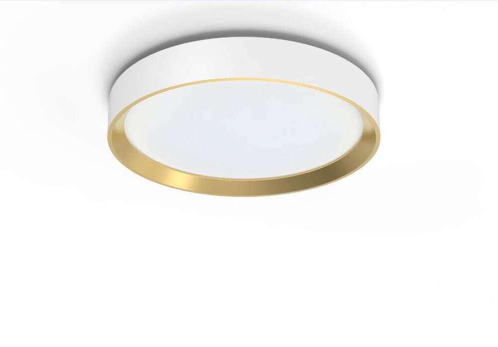 Philips Hanno stropní svítidlo LED 24W 2700K SceneSwitch CRI80 kulaté, bílá/zlatá