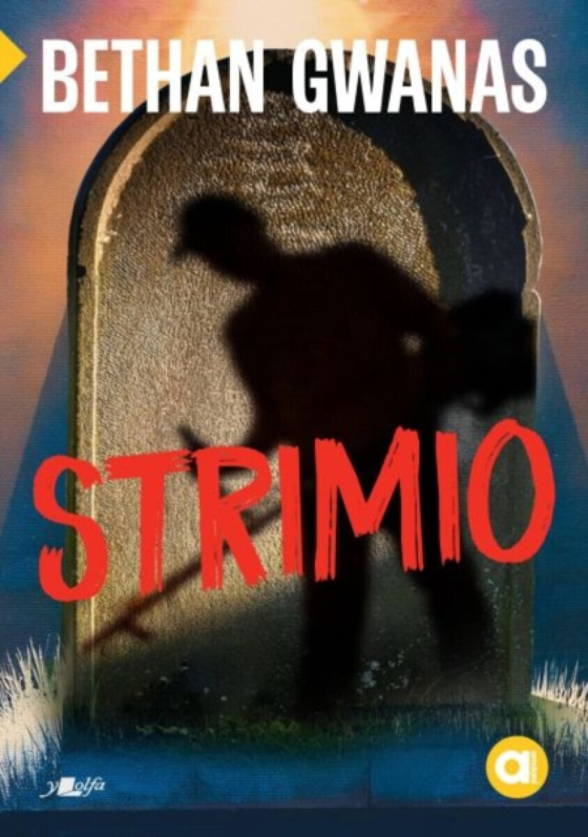 Cyfres Amdani: Strimio - Bethan Gwanas