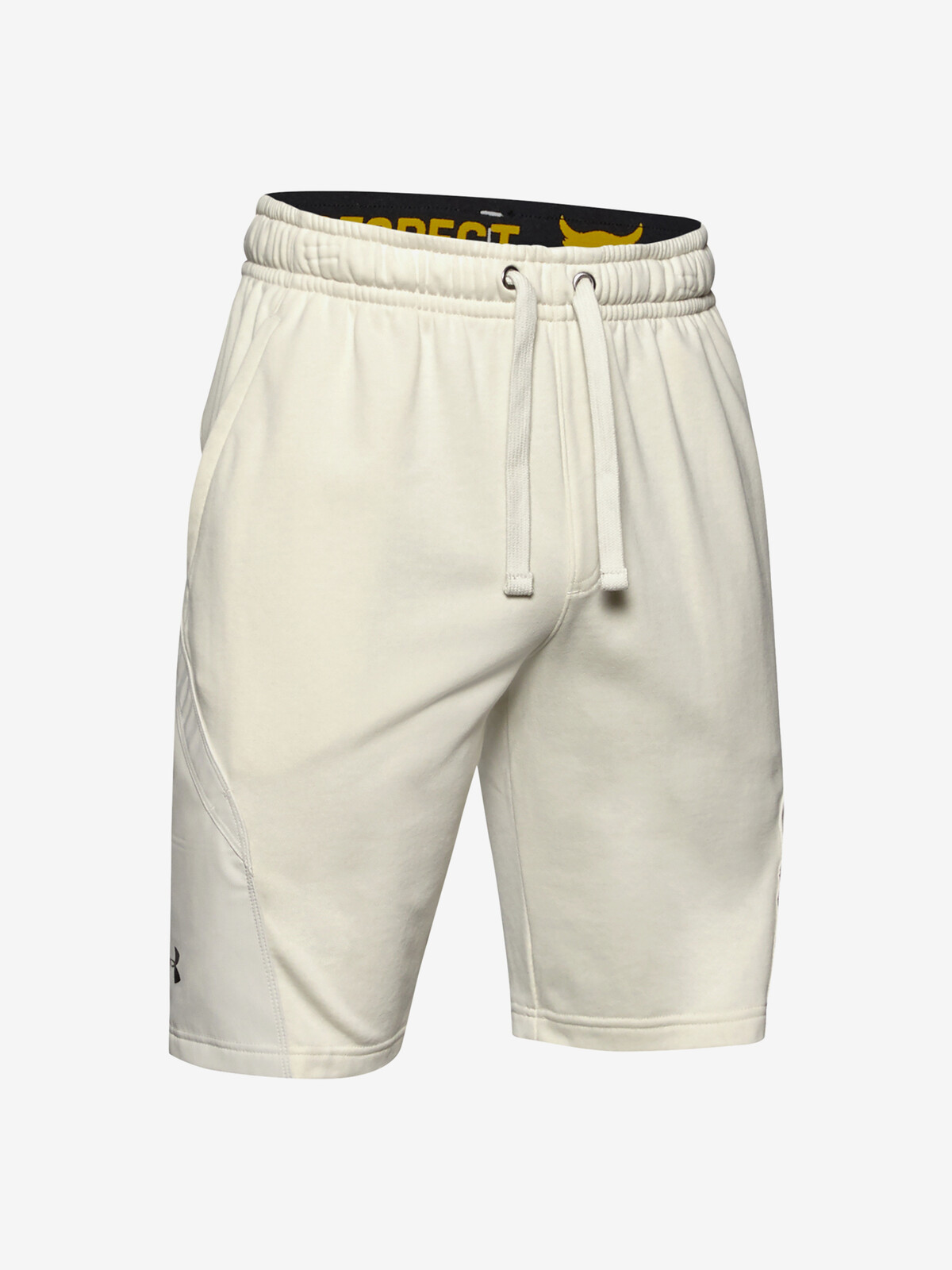 Kraťasy Under Armour Project Rock Terry Shorts