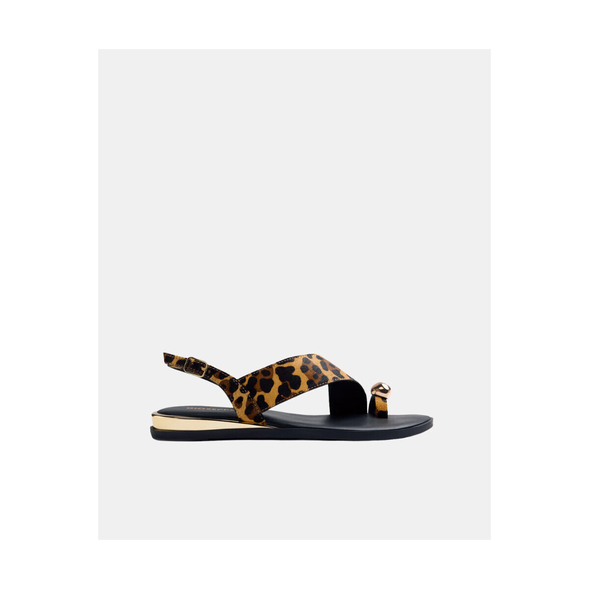 Gioseppo  78191 P MAIRO