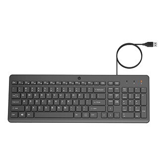 HP 150 CZ/SK klávesnice drátová (USB) CZ/SK, černá