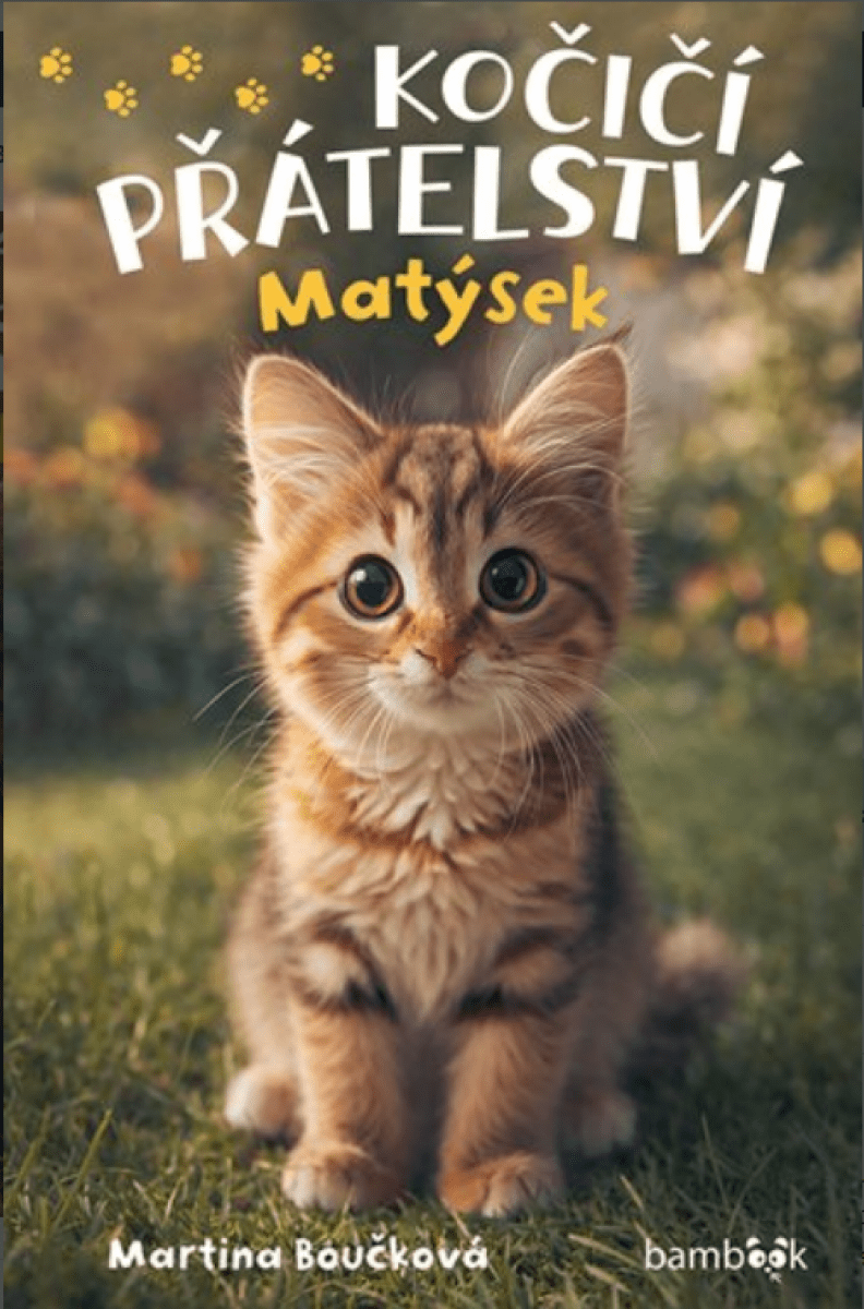 Kočičí přátelství - Matýsek - Martina Boučková