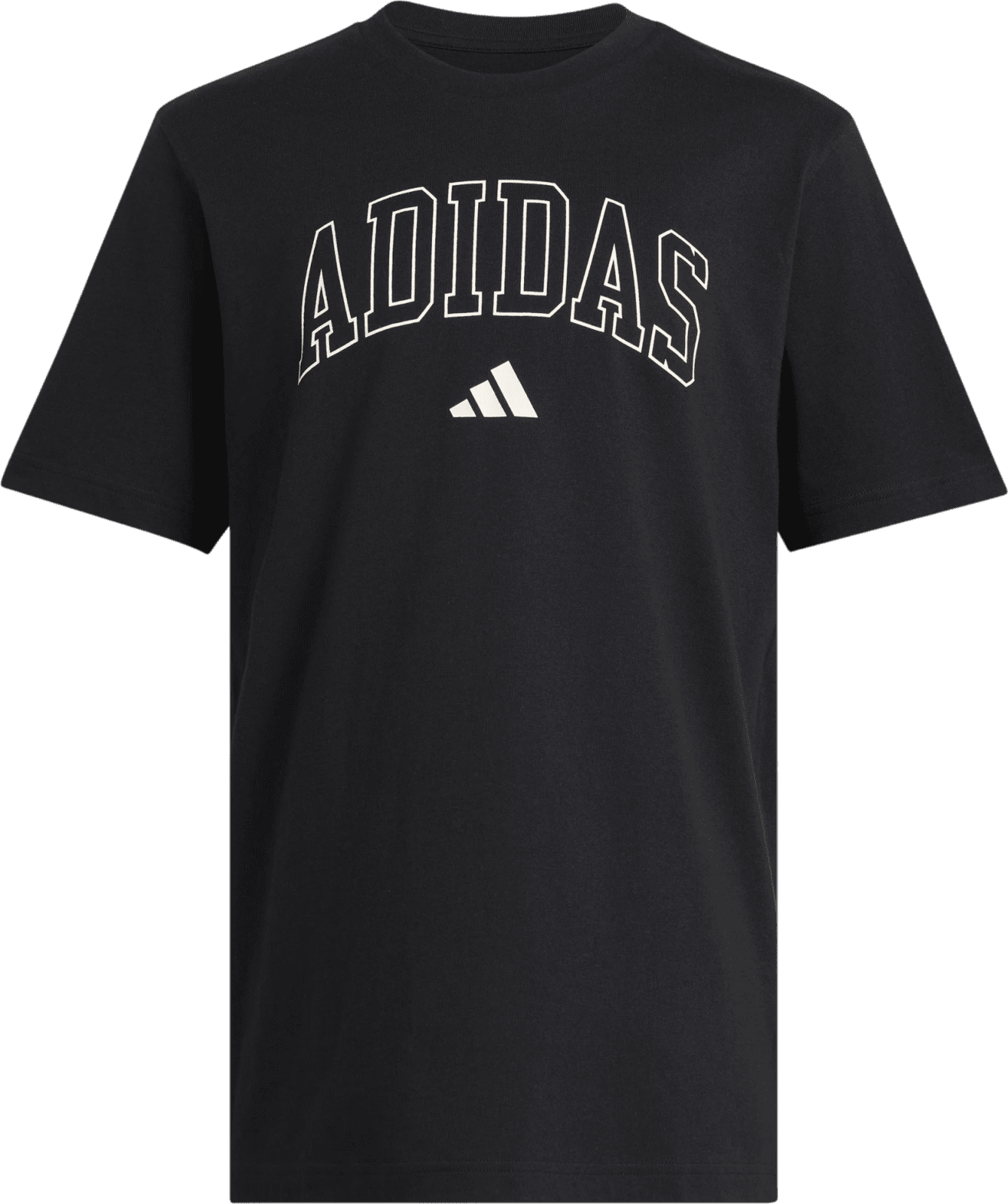 Triko adidas Collegiate Lineage Graphic
