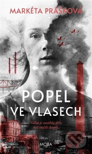 Popel ve vlasech - Markéta Prášková