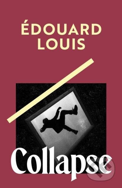 Collapse - Edouard Louis