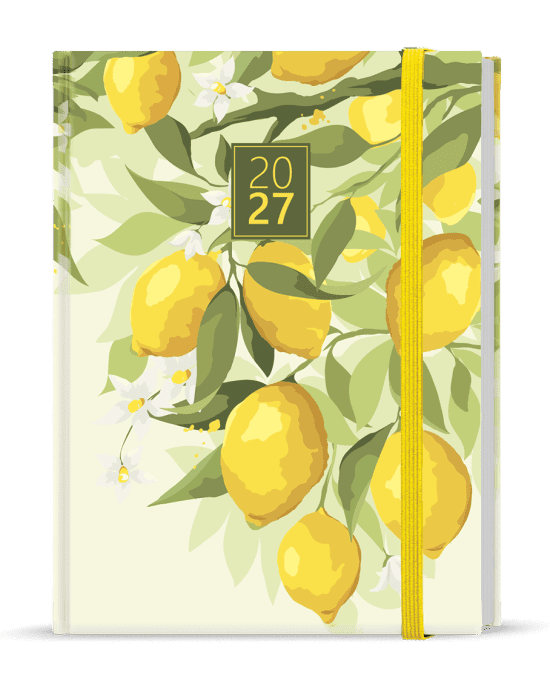 Baloušek Denní diář - Adam - Lamino - B6 - Citron - BDA9-5-27
