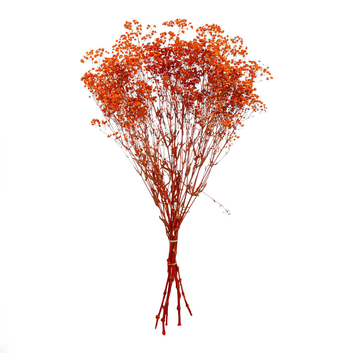 Gilde Kytice gypsophila
