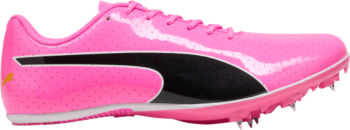 Tretry Puma evoSPEED Sprint 14.5