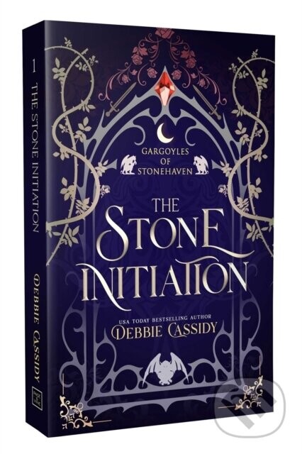 The Stone Initiation - Debbie Cassidy