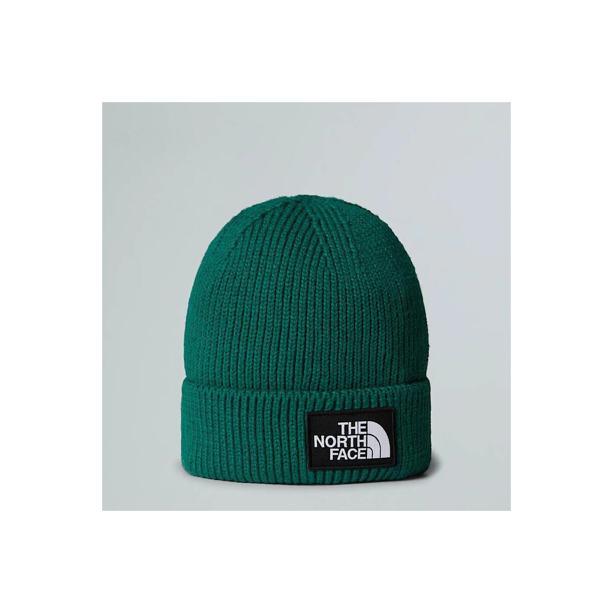 The North Face  NF0A8CHE  Zelená