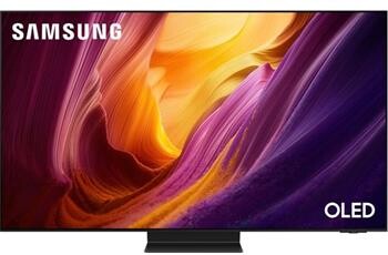 Samsung QE48S95H
