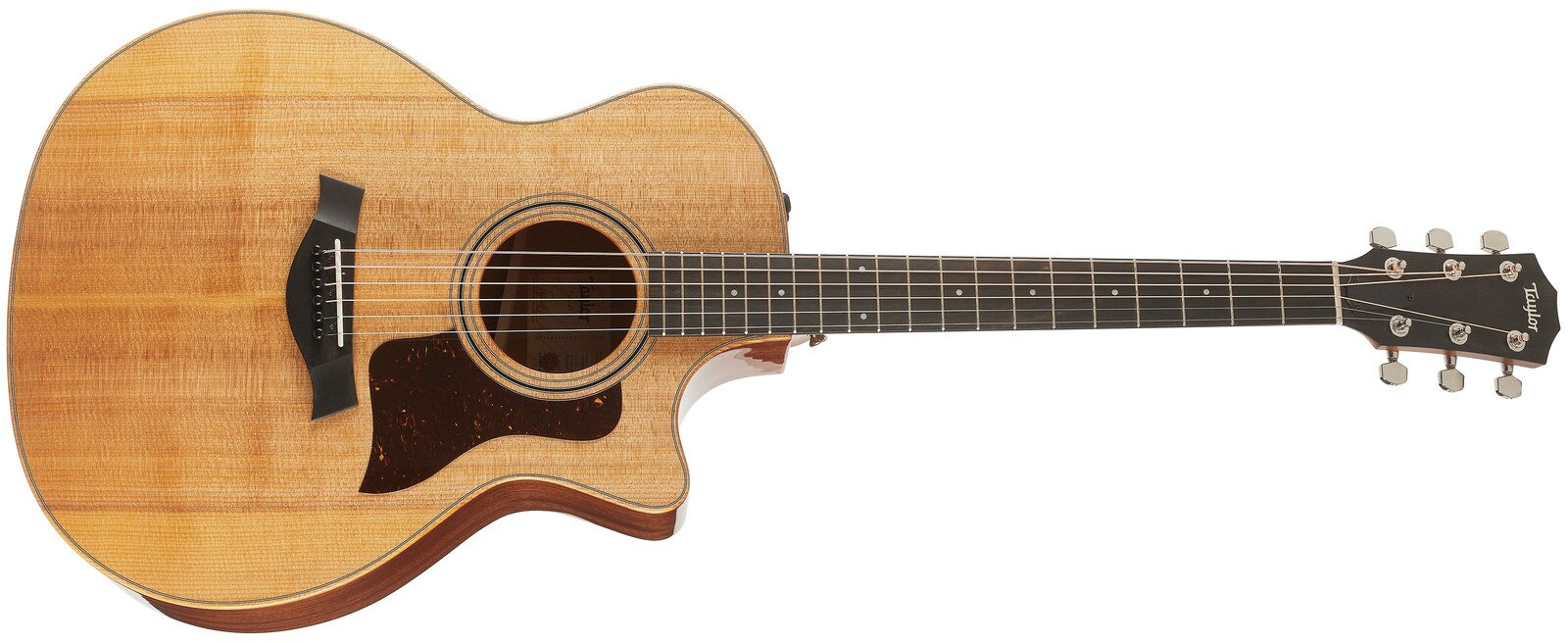 Taylor 314ce Studio (rozbalené)
