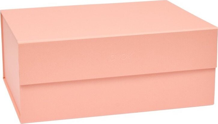 Světle růžový kartonový úložný box s víkem 33x25x15 cm Hako – OYOY Living Design
