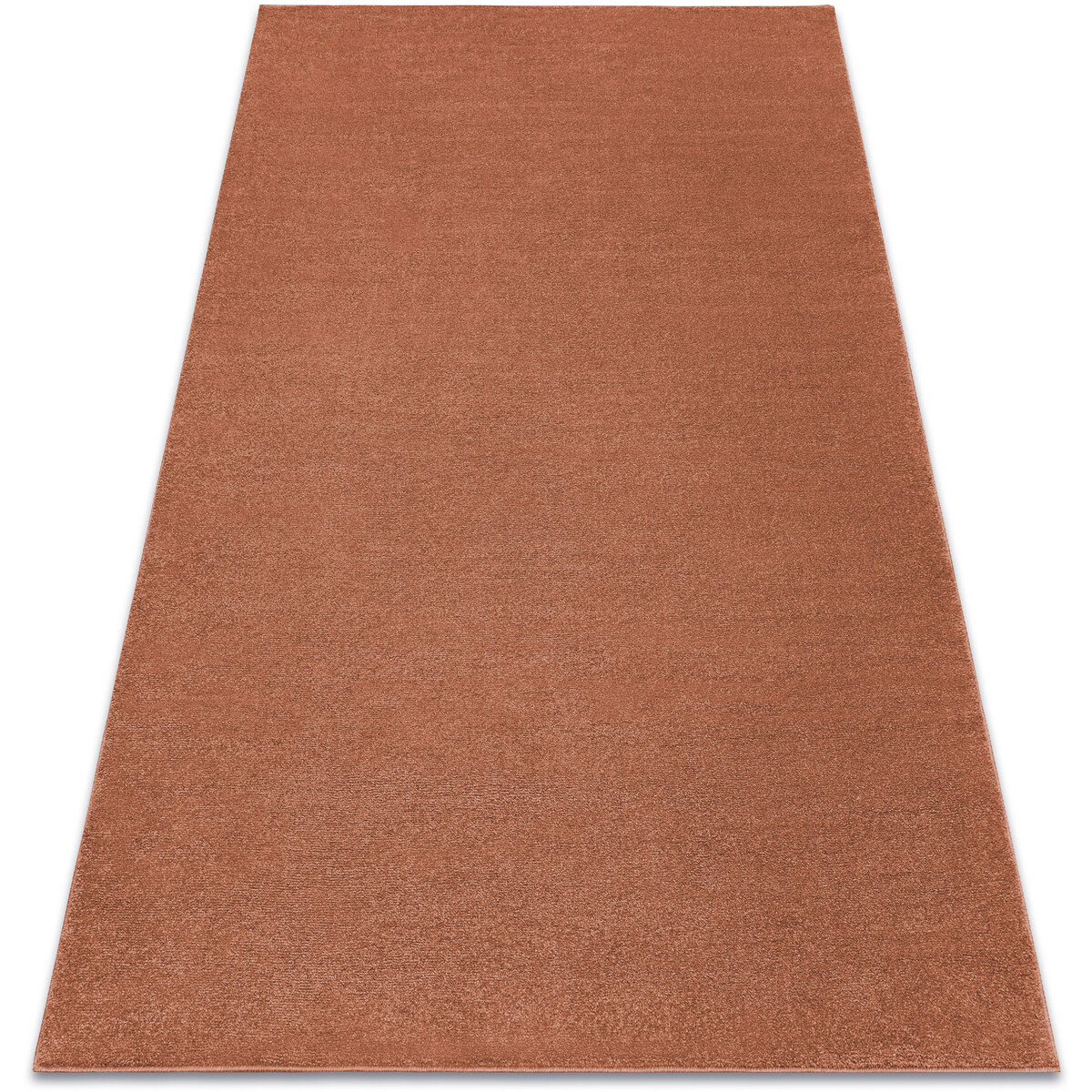 Rugsx  Koberec SOFTY, Jednotný, Jednobarevný, terakota 240x330 cm  Červená