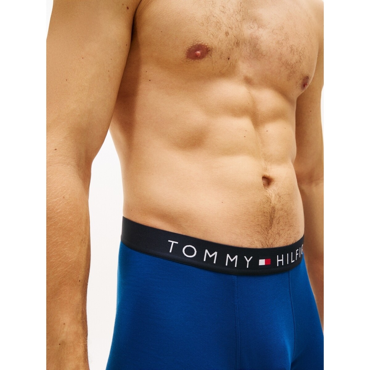 Tommy Hilfiger  Um0um03900  Modrá