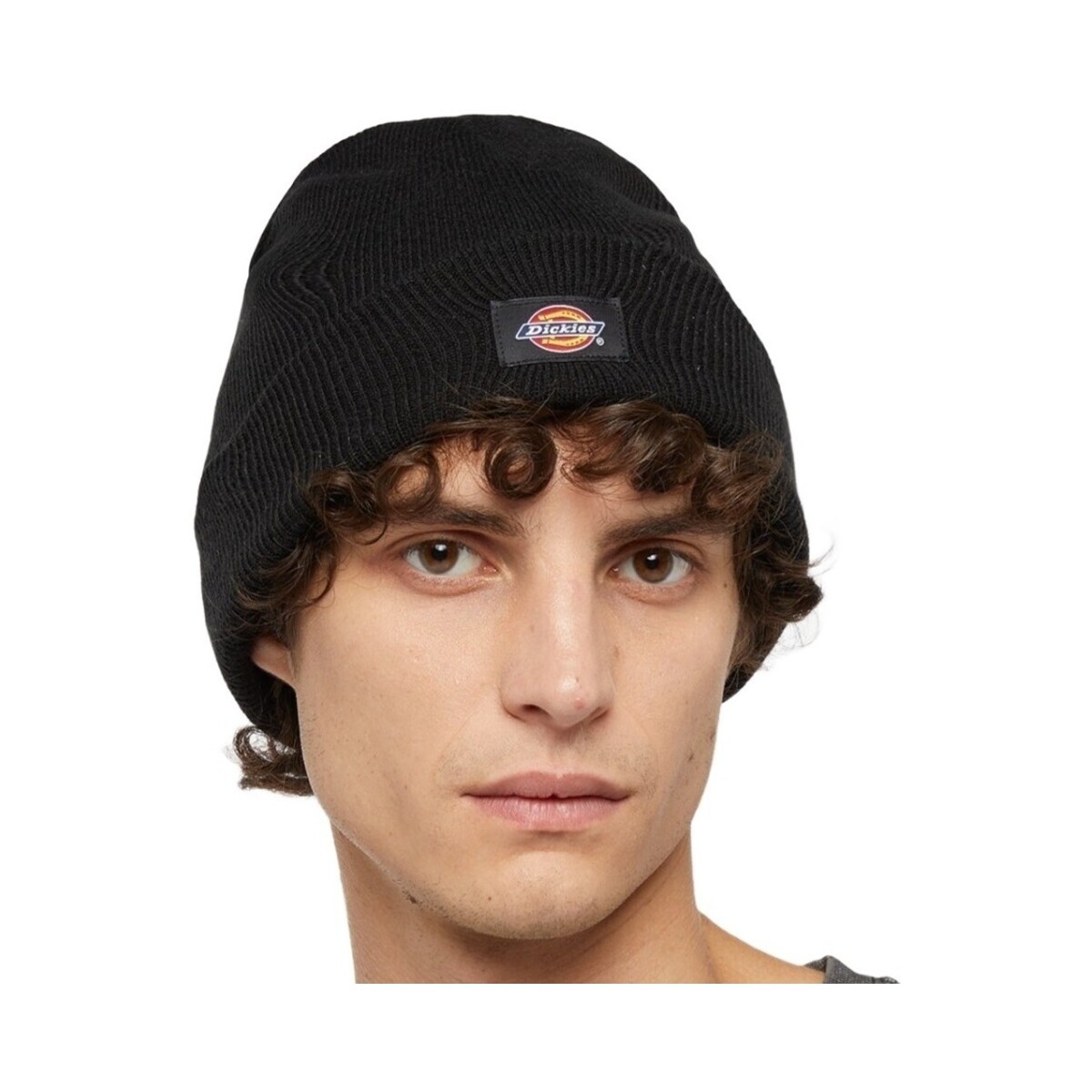 Dickies  Dk0a4z3rblk1  Černá