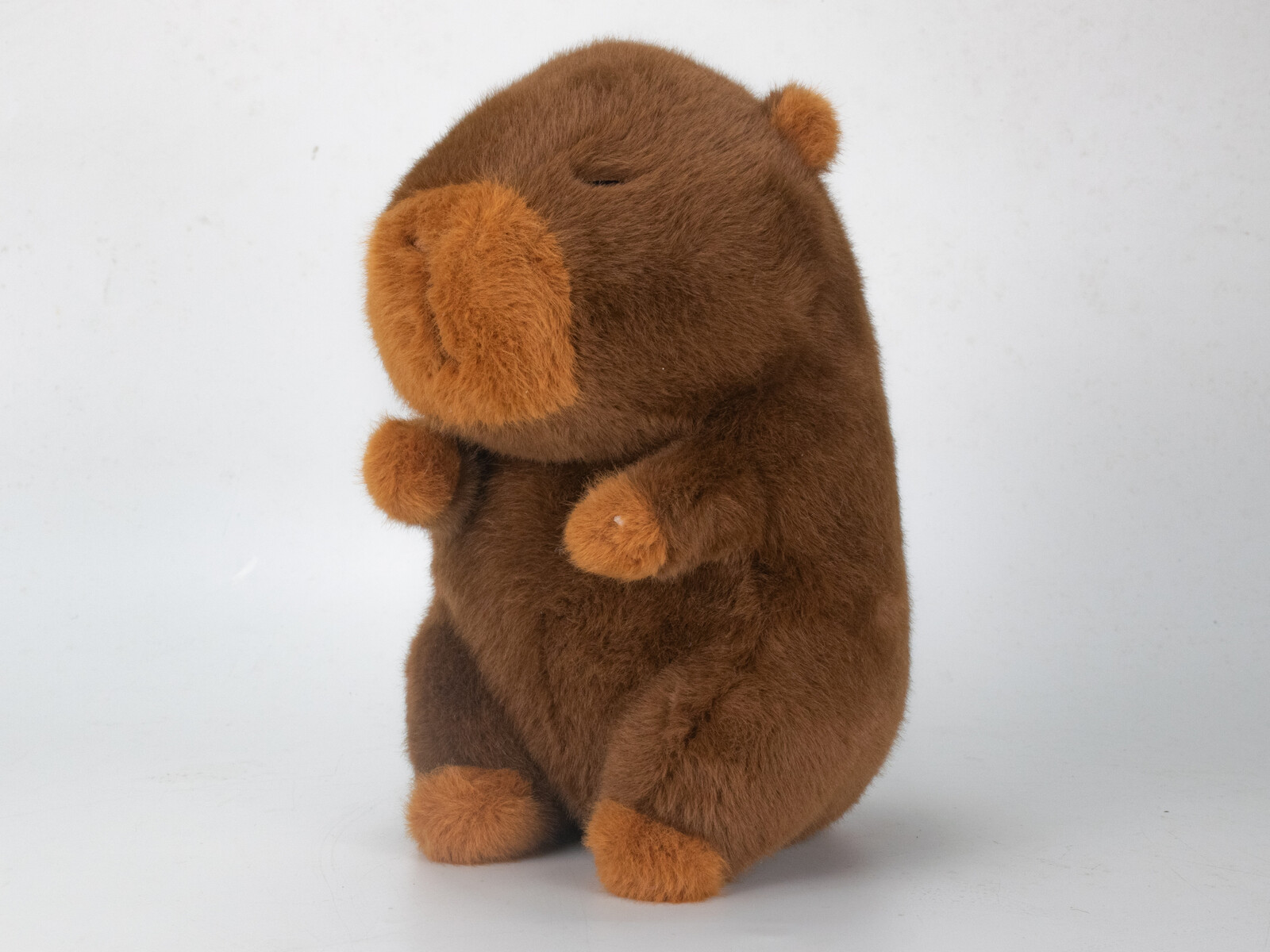 Kapybara plyšová 18 cm