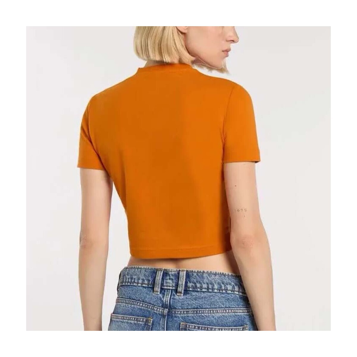 Dickies  Dk0a4xpok641  Oranžová