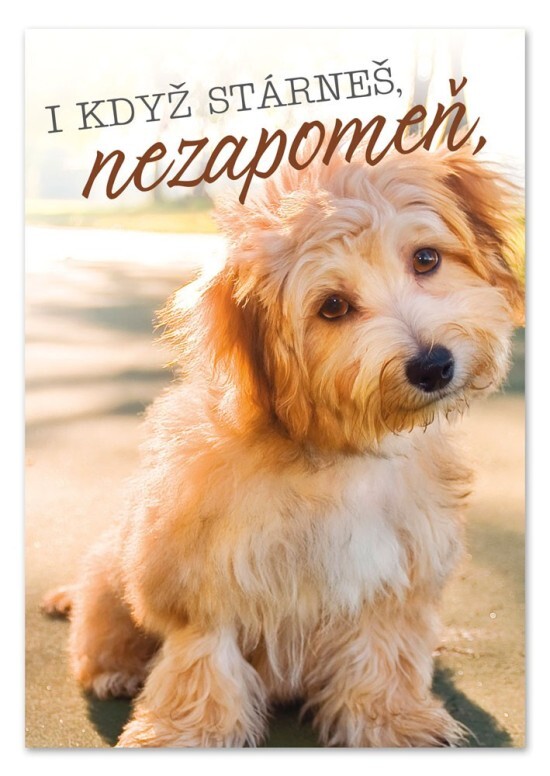 Ditipo Hrací blahopřání - Přátelství na n-tou, Petr Novák - c001494