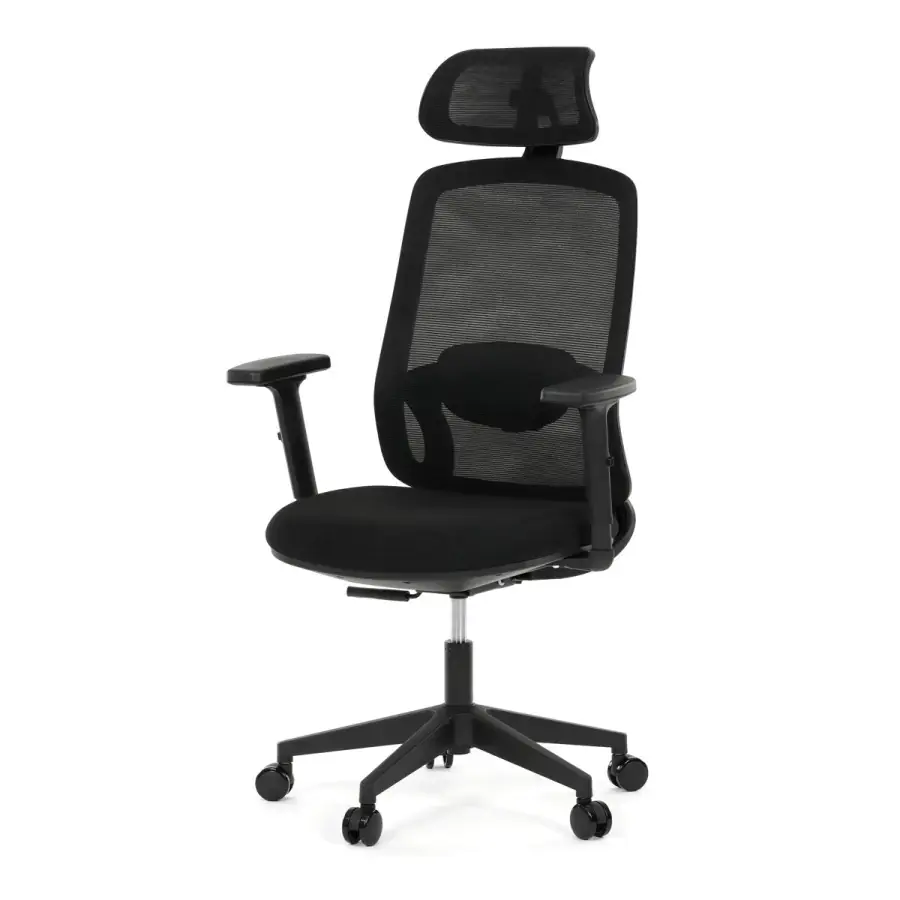 Autronic Kancelářská židle KA-S2176 BK - černá