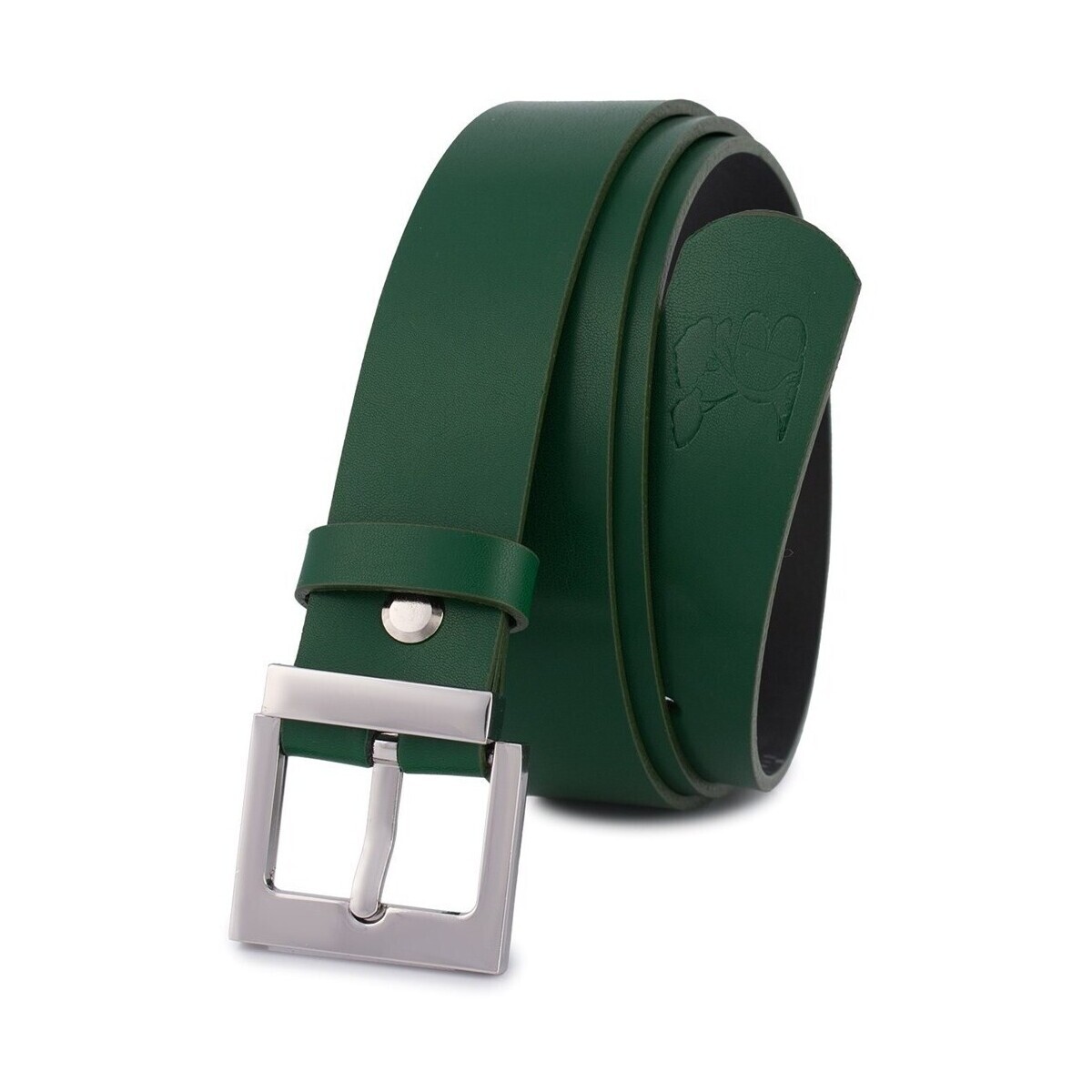 Beltimore  d6990  Zelená