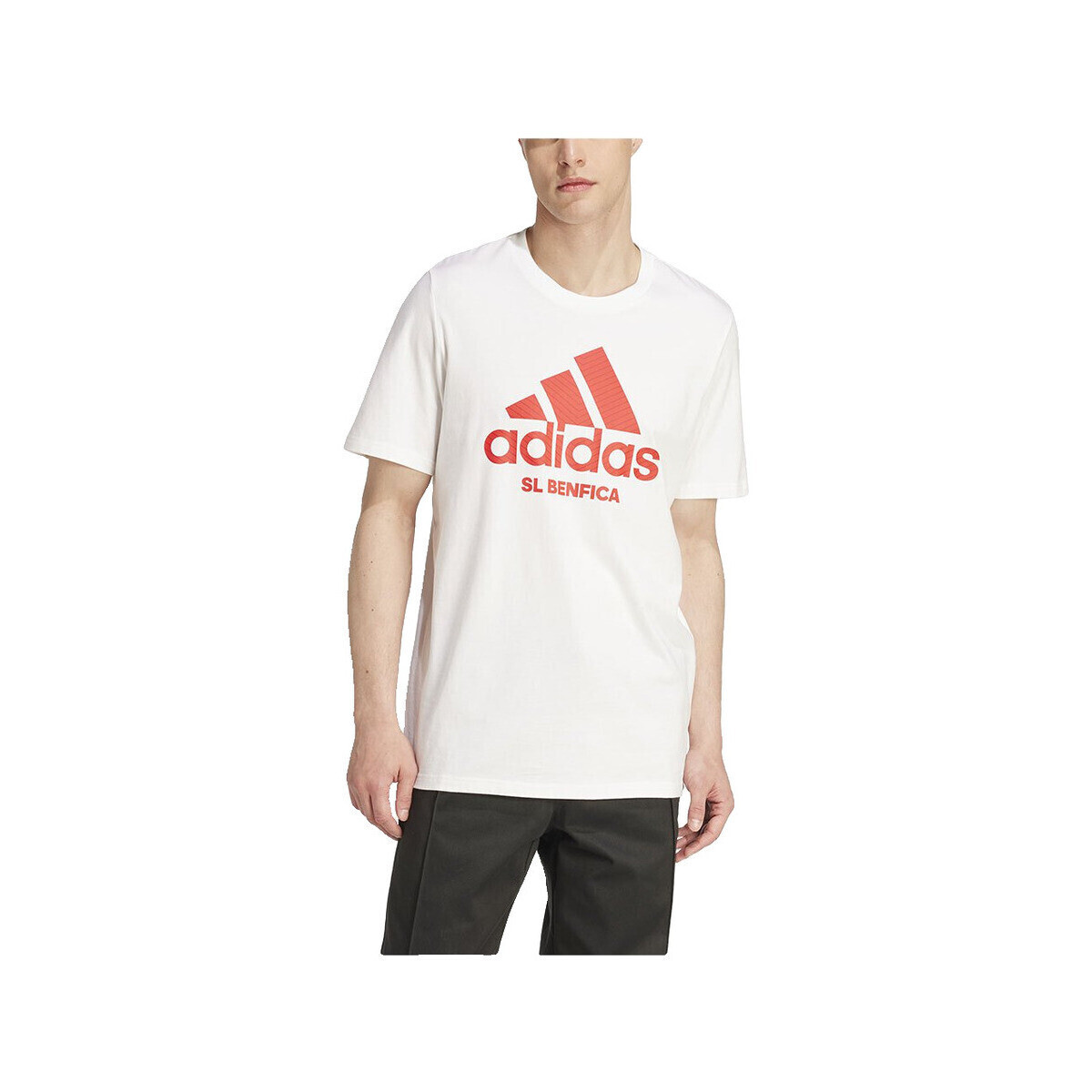 adidas  T-shirt  Benfica Seasonal Graphic 100% coton  Bílá