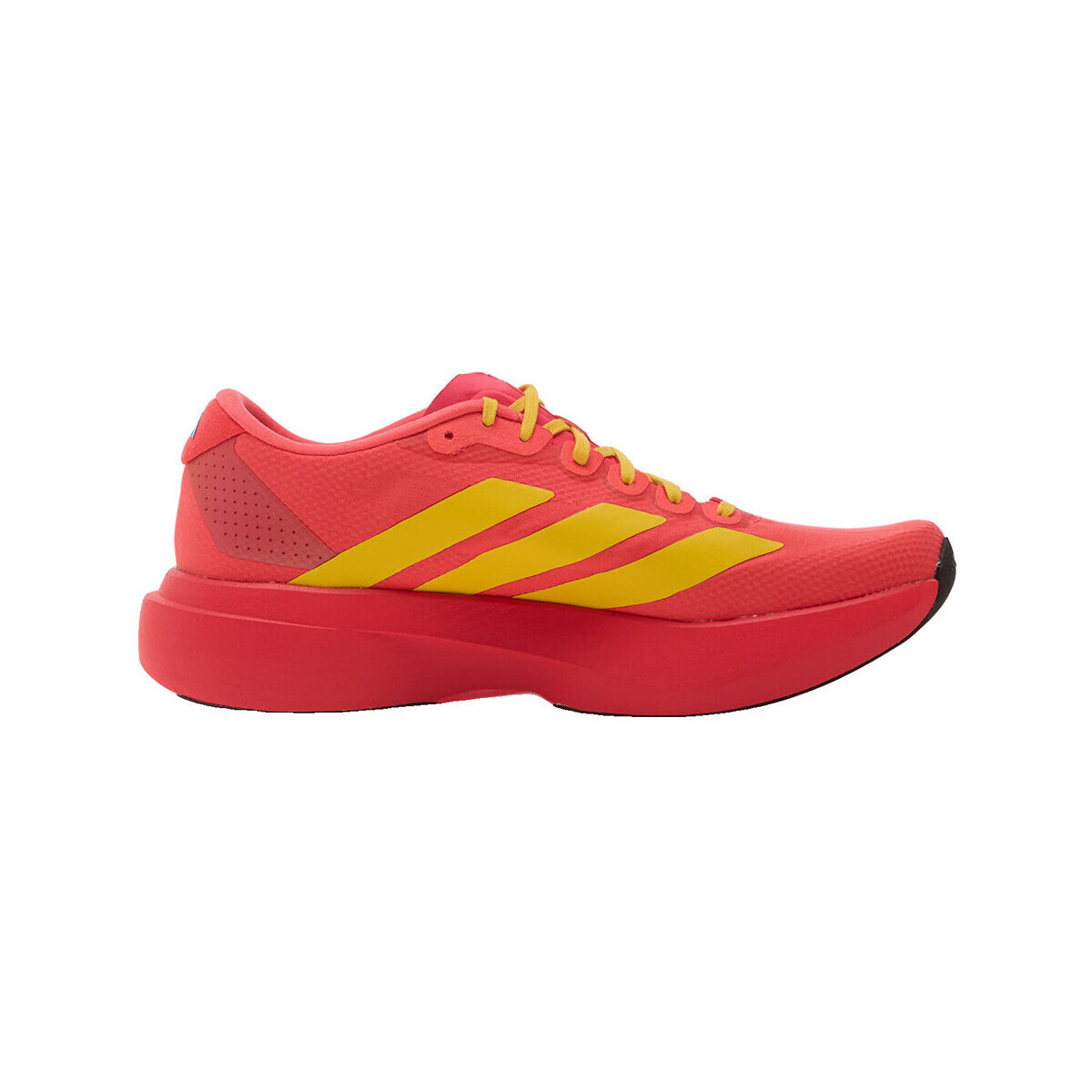 adidas  Chaussures de running  adizero evo sl léger  Červená