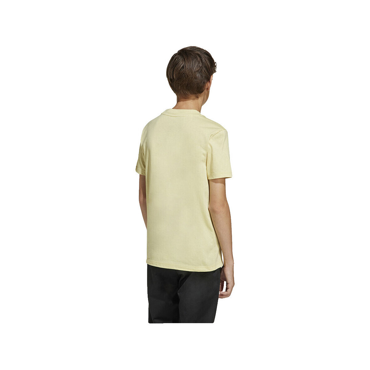 adidas  T-shirt  Essentials Short Sleeve imprimé