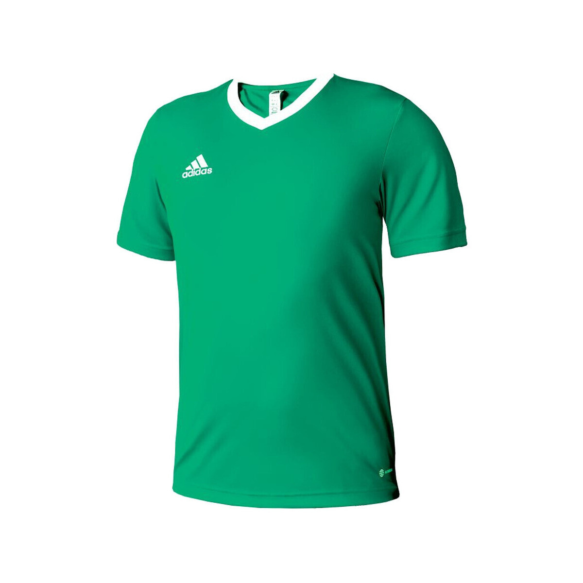 adidas  T-shirt  entrada 22 vert/white  Zelená