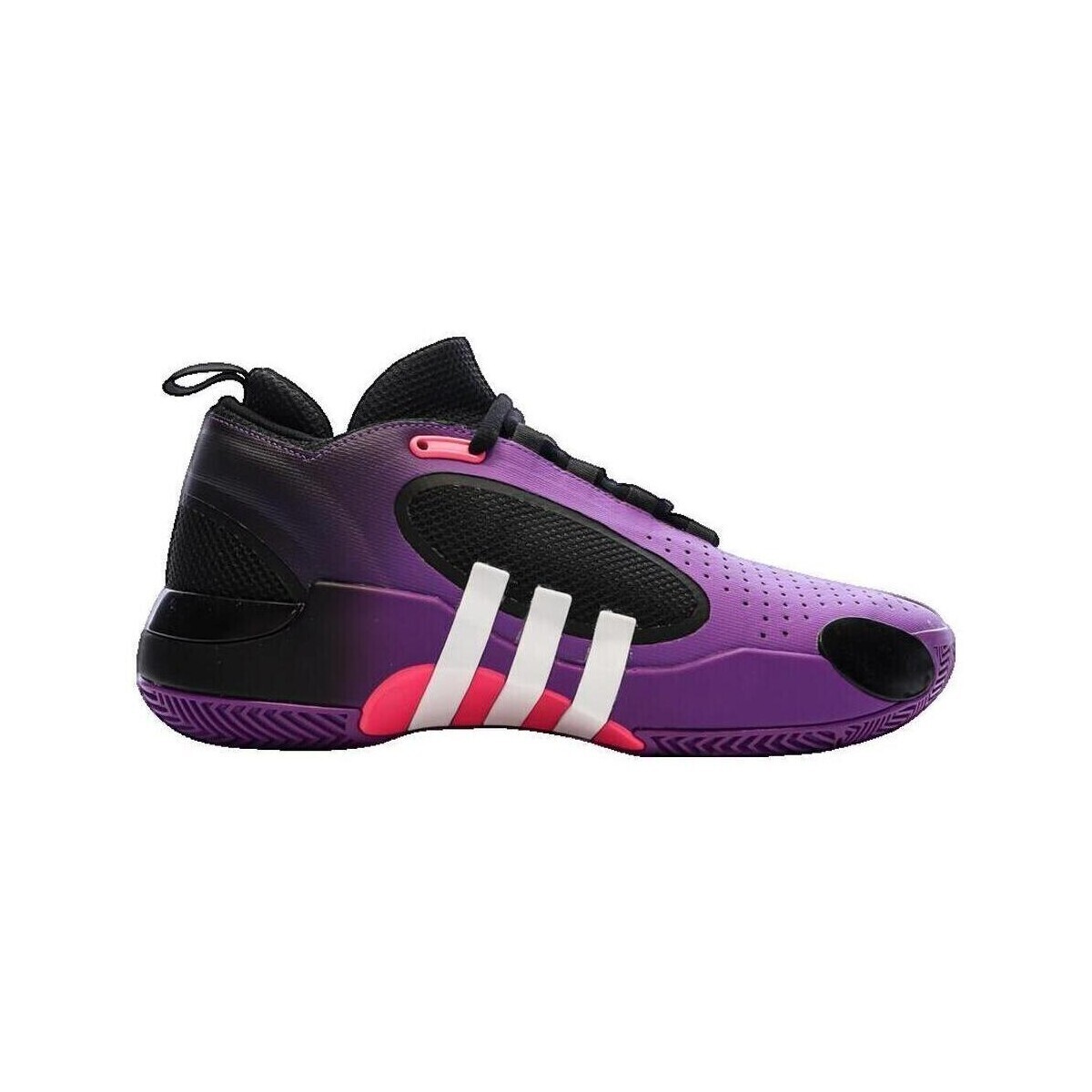 adidas  Baskets  D.O.N. Issue 5 léger  Fialová