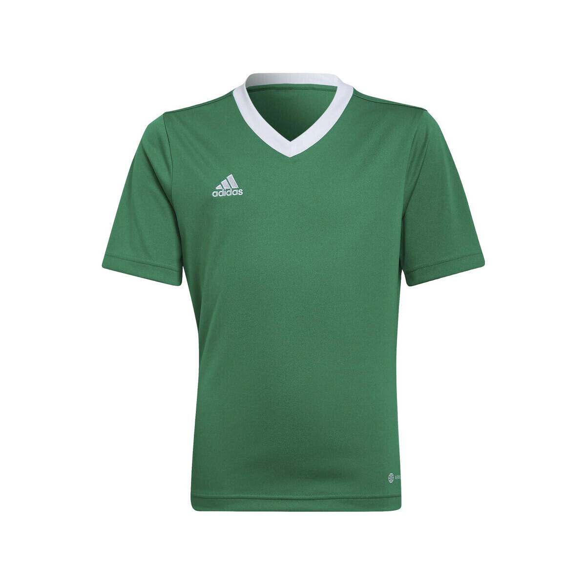 adidas  T-shirt  entrada 22 100% polyester  Zelená