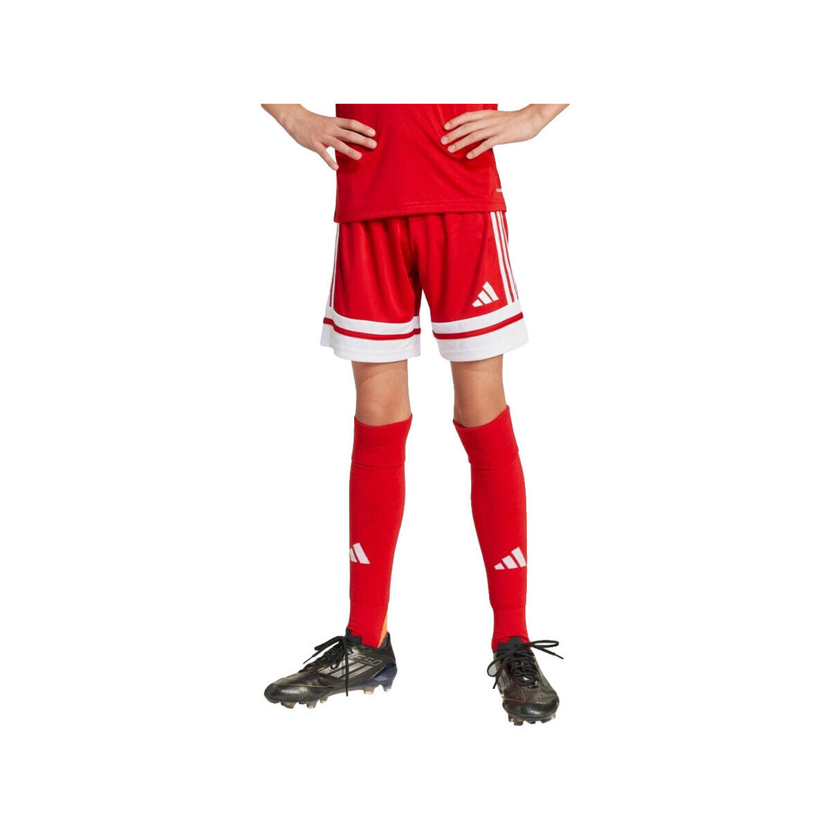 adidas  Shorts  jj2416 recyclés  Červená