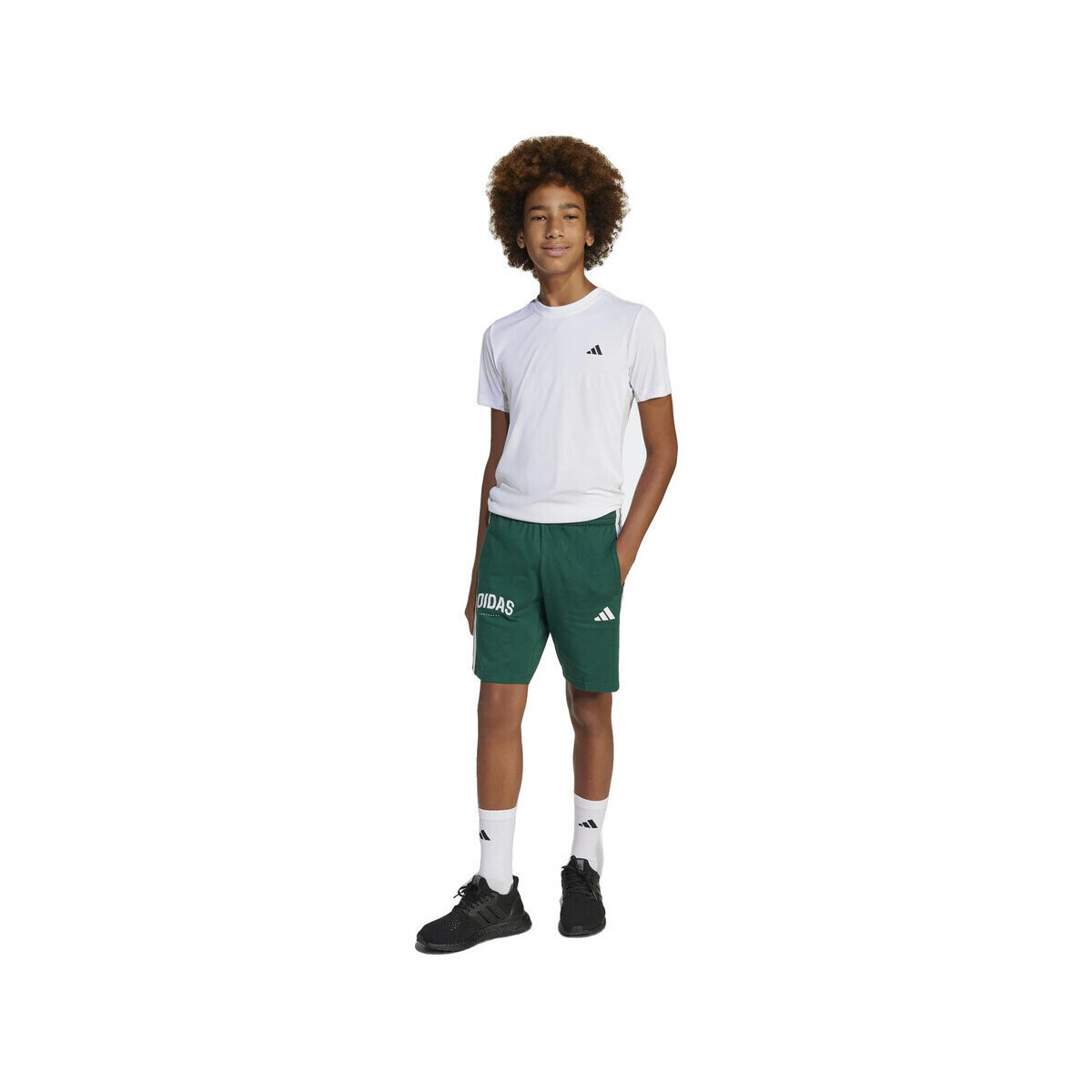 adidas  Shorts  jm2440 vert  Zelená