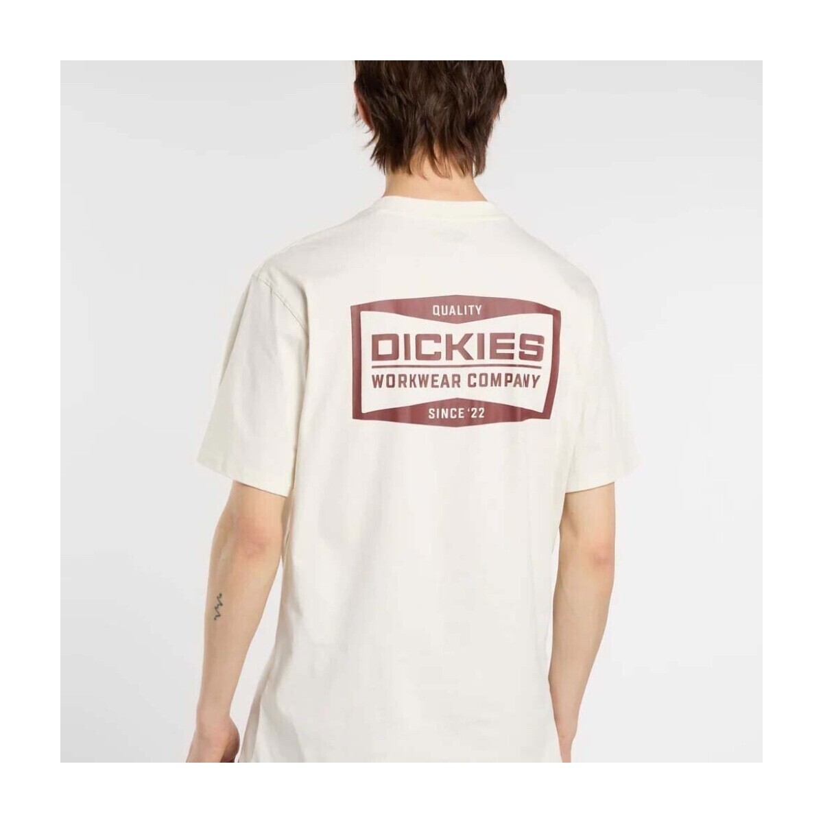 Dickies  Dk0a87qkc481  Béžová