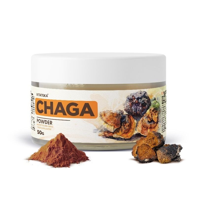 Čaga prášek – 50 g – Vitateka