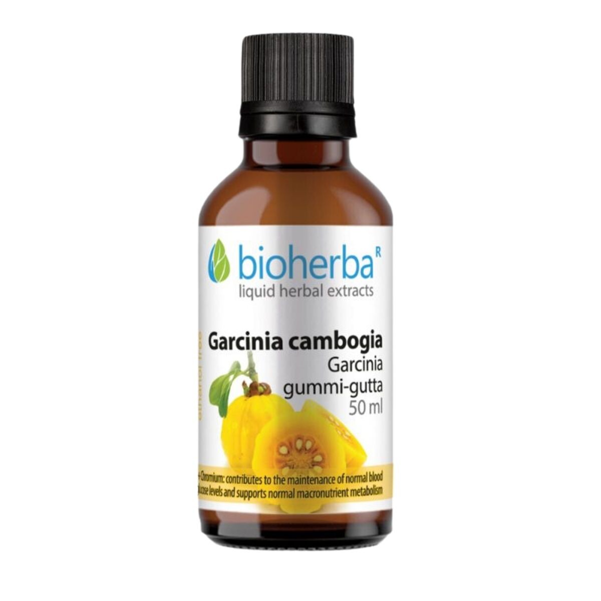 Garcinia Cambogia – tinktura kapky – 50 ml – Bioherba